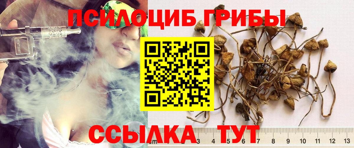 Галлюциногенные грибы MAGIC MUSHROOMS Красноуфимск