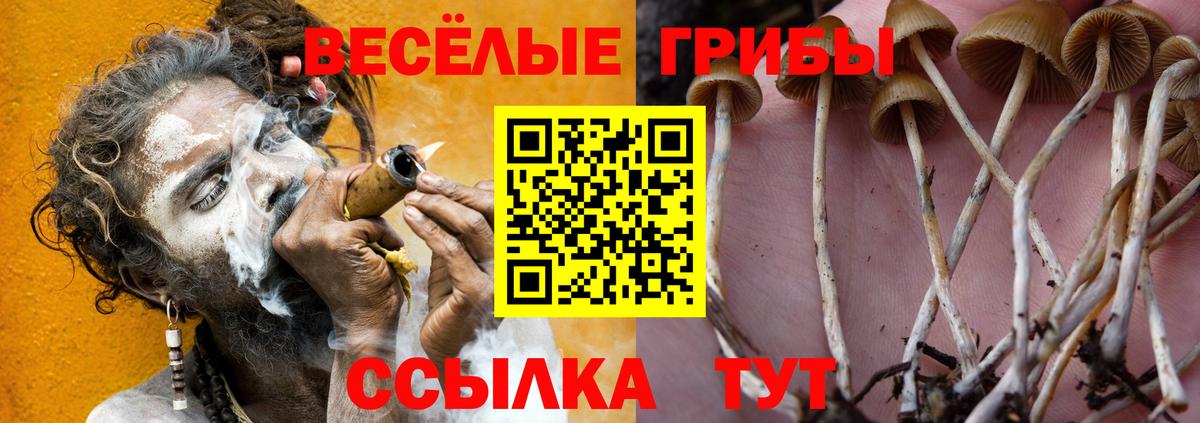 наркошоп  Вход с VPN  Красноуфимск  Галлюциногенные грибы мухоморы  Галлюциногенные грибы Magic Shrooms 